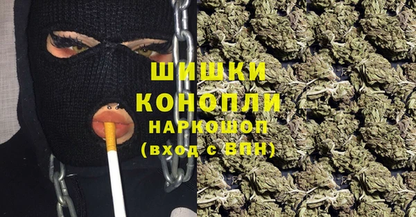 крисы Магадан