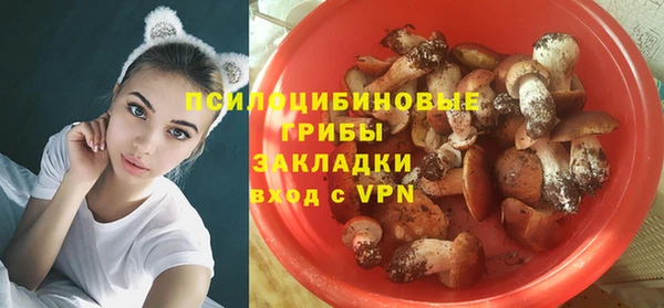 прущие крисы Алзамай