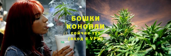 индика Медногорск