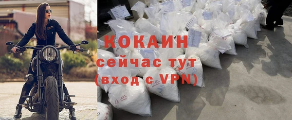 дживик Мегион